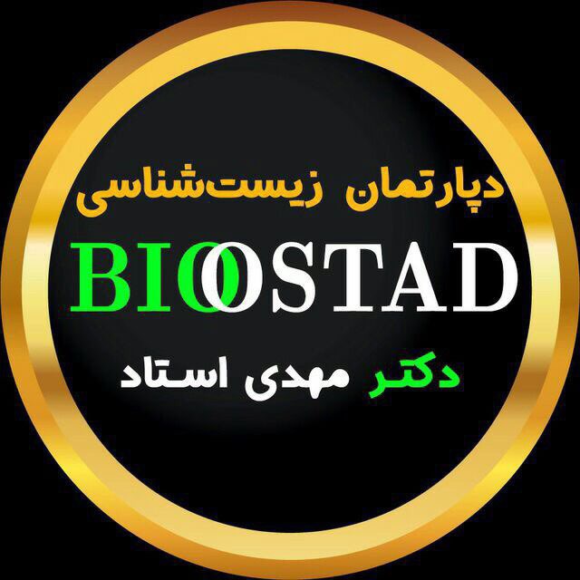 دکتر مهدی استاد